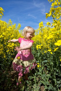 Happy toddler girl in rape seed field clipart