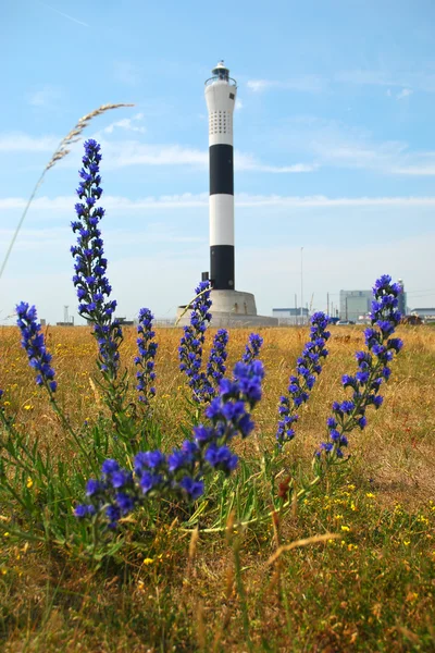 Flora in front of the Dungeness Lighthouse. — Stock Photo, Image