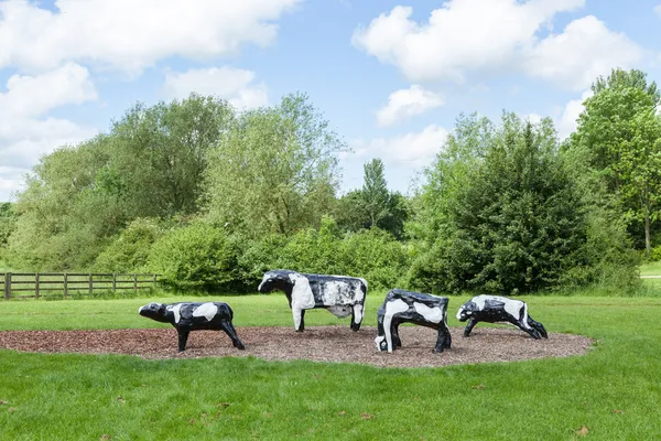 Vaches en béton tristement célèbres à Milton Keynes — Photo