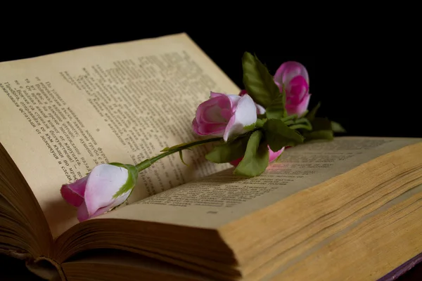 Libro y rosa — Foto de Stock