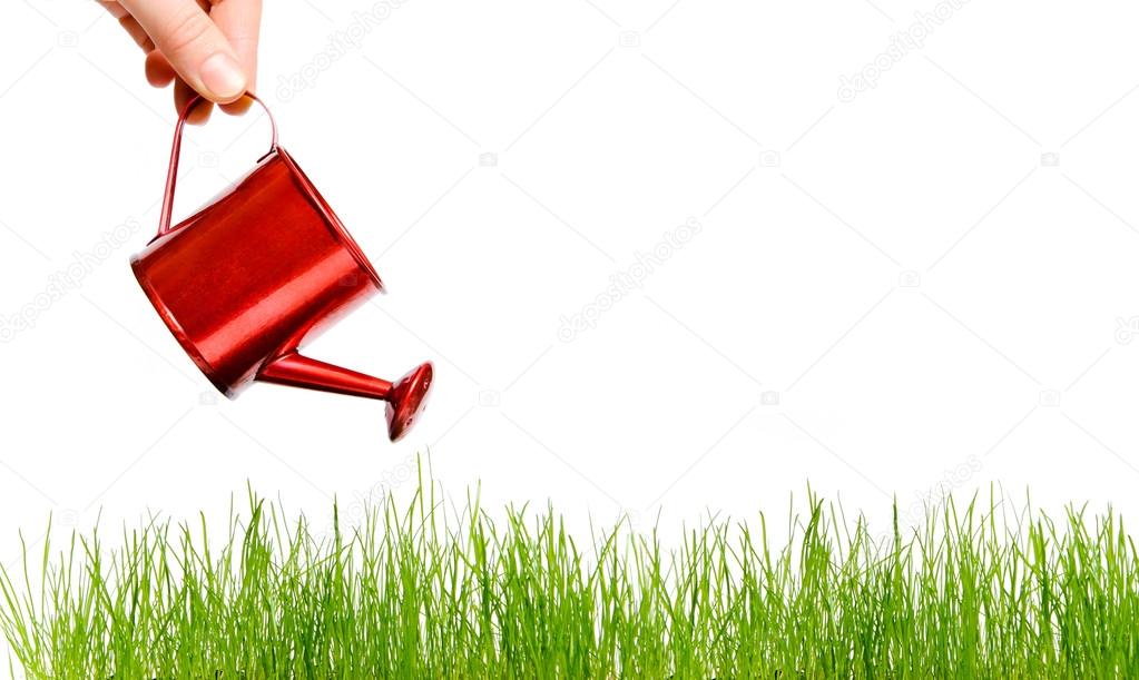 Female hand watering the lush grass