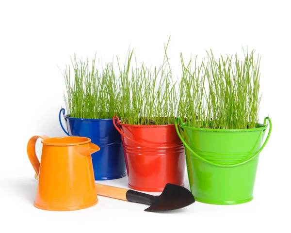 Colored buckets with grass — Zdjęcie stockowe