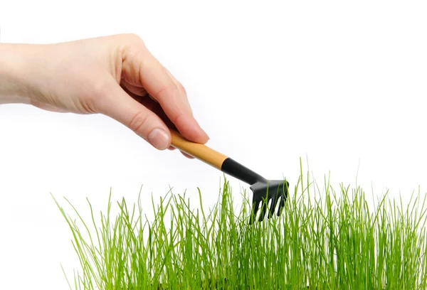 Female hand hold a rake — Stock Photo, Image