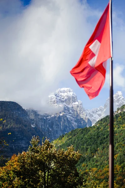 La bandiera su uno sfondo di montagne . — Foto Stock