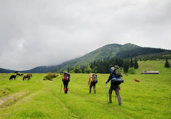 Wandelen in de mountians — Stockfoto