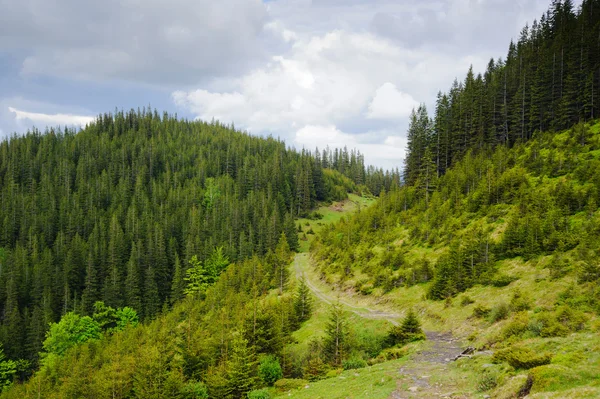 Beautiful green mountain — Stock Photo, Image