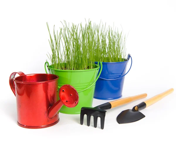 Garden tools — Stock Photo, Image