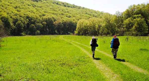 Spring trekking — Stockfoto