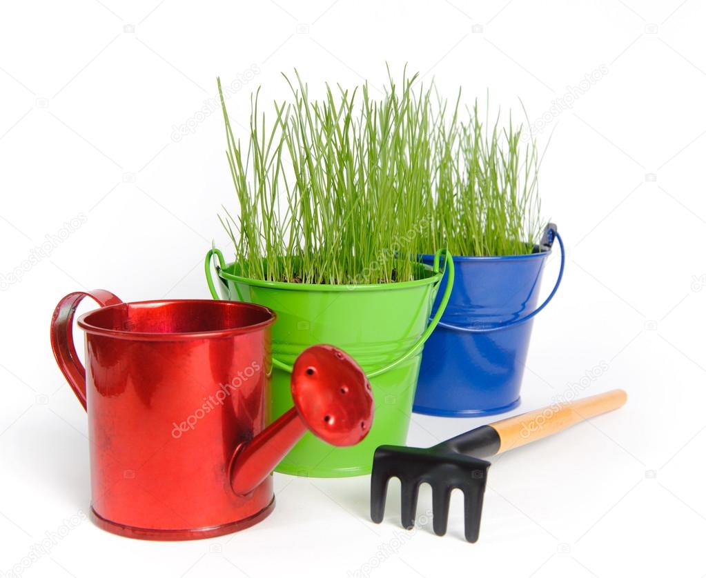 Colored buckets with grass and water can