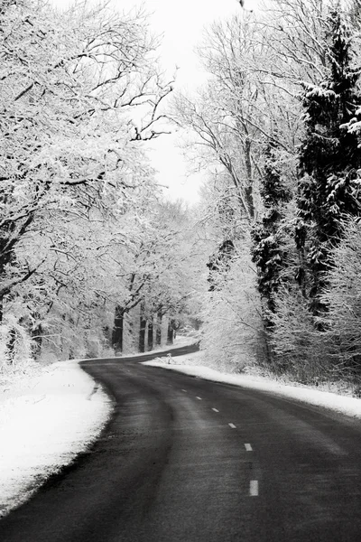 Aralık ülkede yol — Stok fotoğraf