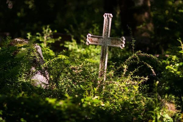 墓地 — ストック写真