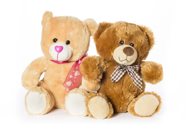 beyaz zemin üzerinde oyuncak ayılar