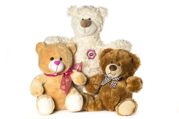 Teddy bears on a white background — Stock Photo, Image