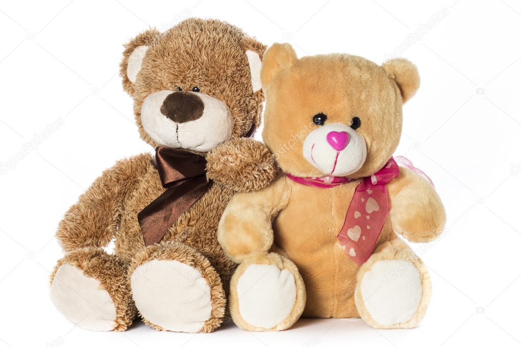 Teddy bears on a white background
