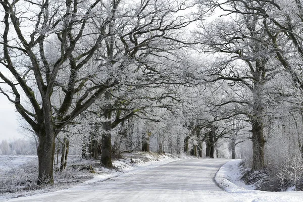Kışın Kırsal Kesimde Köy Yolu Kış Yolu Karla Kaplı Tarlalardan — Stok fotoğraf