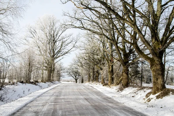 Country Road Winter Rural Scene Winter Road Going Snow Covered — Stock Photo, Image