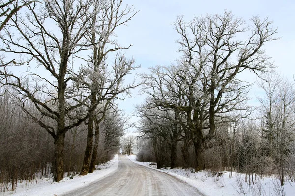 Country Road Winter Rural Scene Winter Road Going Snow Covered — Stock Photo, Image