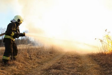 Kuru otların bahar ateşi. 