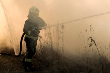 Kuru otların bahar ateşi. 