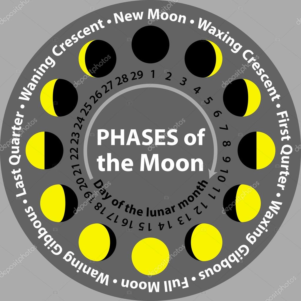 Moon phases — Stock Vector © ira_beg 49941215