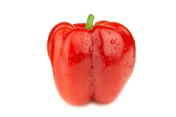 Red Pepper on a white background — Stock Photo, Image