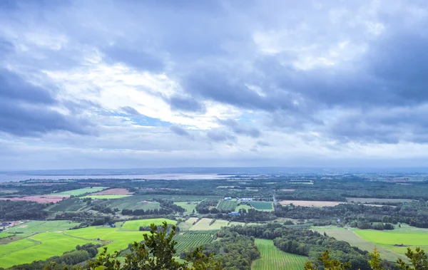 (annapolis Vadisi, nova scotia bakma)