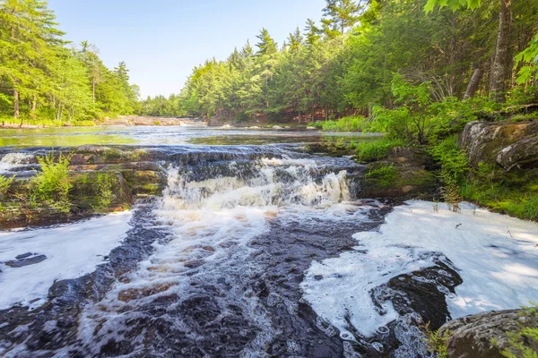 Cascata forestale — Foto Stock