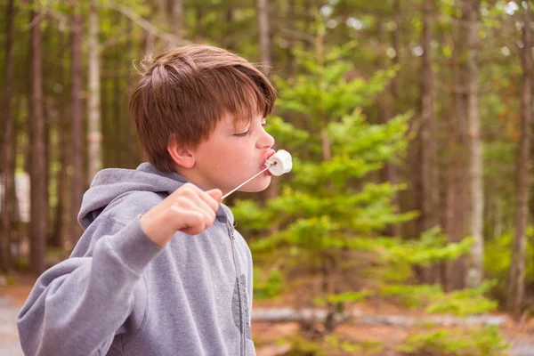 Jonge jongen eten marshmallow — Stockfoto