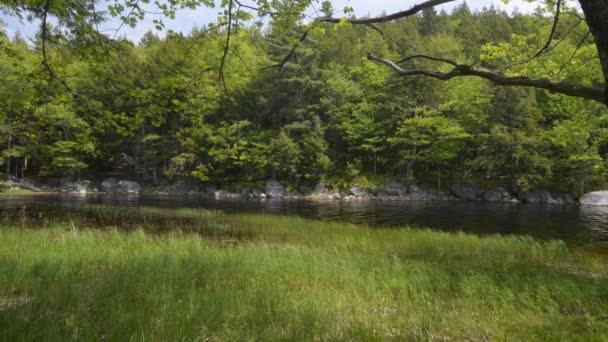 Lac en forêt ,
