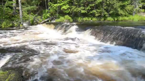 Лесной водопад — стоковое видео