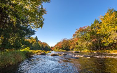 Orman Nehri ile sonbahar manzara