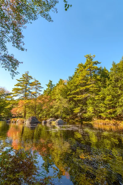 Paesaggio con fiume foresta in autunno — Foto Stock