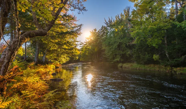 Paesaggio con foresta autunnale e fiume — Foto Stock