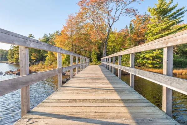 Wooden bridge in autumnal park — Stock Photo, Image