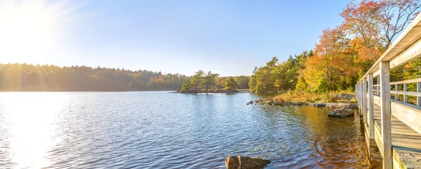 Fall foliage scene — Stock Photo, Image