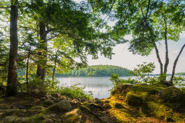 Pobřeží jezera — Stock fotografie