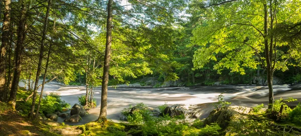 Panorama över en flod i skogen — Stockfoto