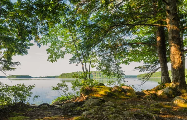 Orilla del lago —  Fotos de Stock