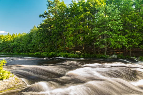 Flod i skogen — Stockfoto