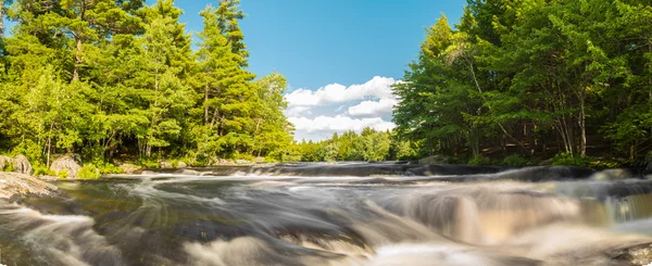 Panorama de un río en el bosque — Foto de Stock
