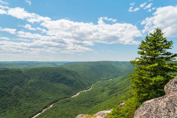 View of canyon — Stock Photo, Image