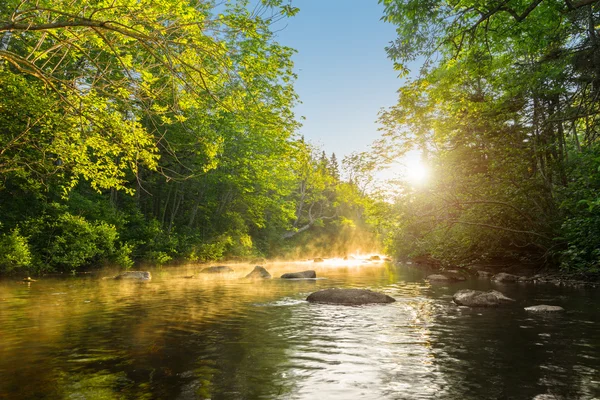 Fluss am Morgen — Stockfoto