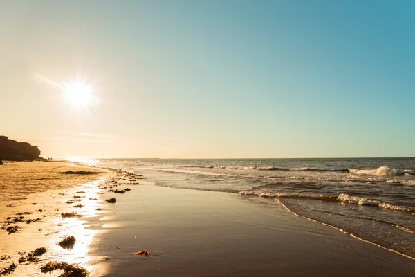 Oceaanstrand — Stockfoto