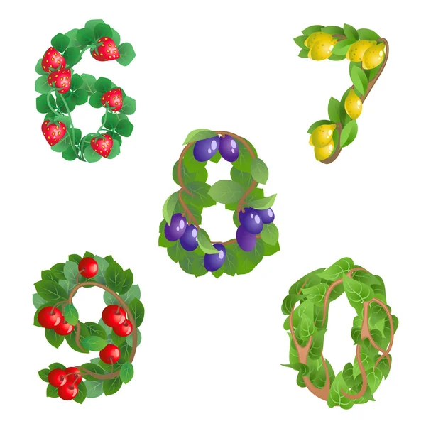 Числа 6-0 виготовлені з різних рослин з фруктами — стоковий вектор