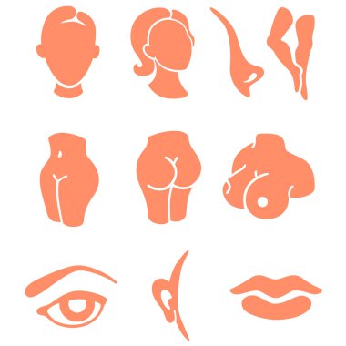 vücut parçaları ve surat bölgelerinin Icon set