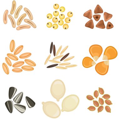 tahıl taneleri Icon set