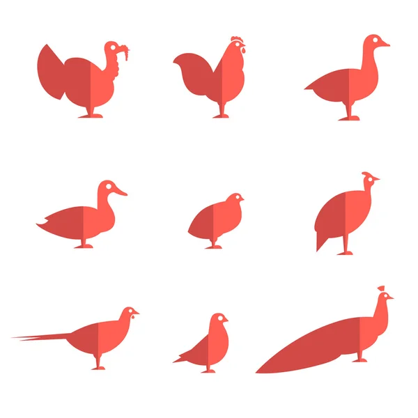 Farm bird ícones planos — Vetor de Stock