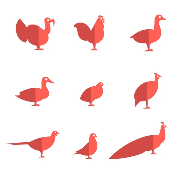 Farm bird flat icons — Stock Vector