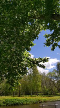 Doğanın yarattığı inanılmaz güzel bir tuval, bunlar her gün ilham veren nehirler, dağlar, ağaçlar ve nefes kesici manzaralar..