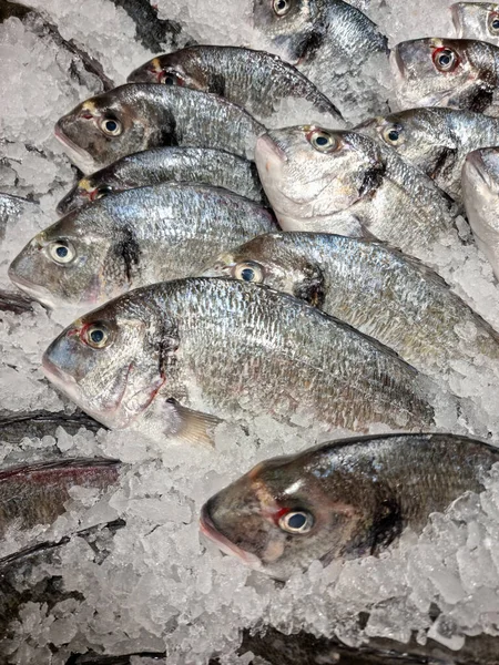 Fresh ocean fish and seafood at the fish market Close up Top view